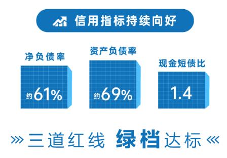 市盈率超过一线蓝筹 大发地产三年销售增长超过142%