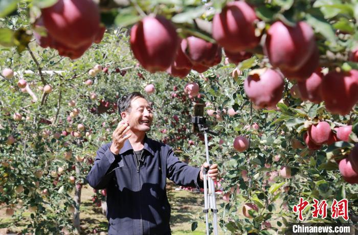 陇南正在逐步突破“难关”:提升“扶贫智慧”助力山地特色“攀登”