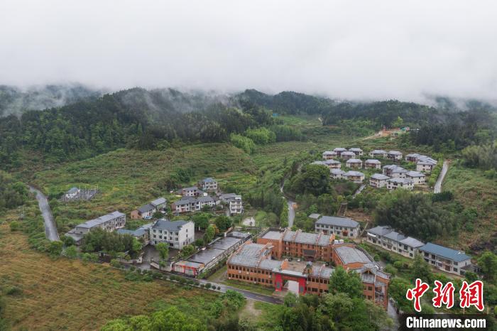 旅游村井冈山“破茧蝶变”从破村到神山村的“魔码”