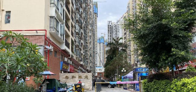 为解决住房问题 深圳将实施大规模的住房建设计划