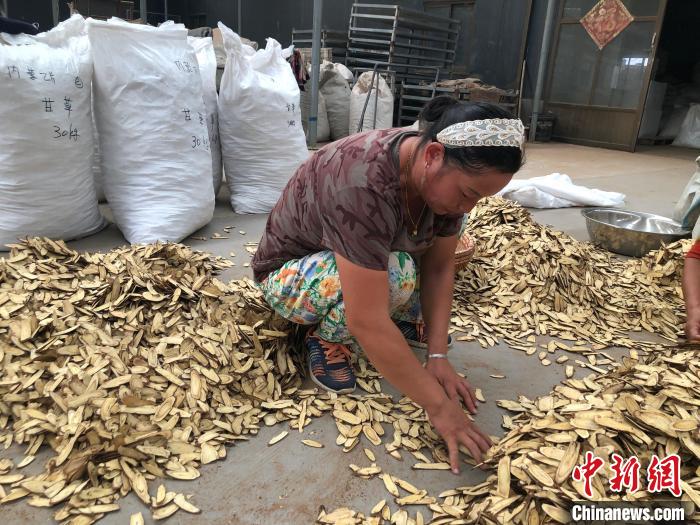 探访千年药都“甘草小镇”:小甘草店“黄金路”