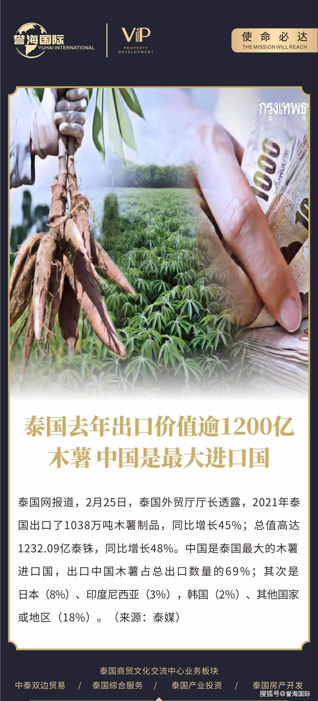 泰国去年出口超过1200亿木薯 中国是最大的进口国