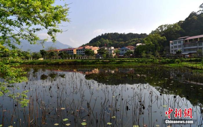 春潮激荡新福建:沙县小吃“出山”“出海”