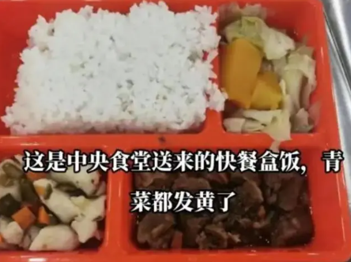 学校给孩子吃预制菜 上千名家长送餐