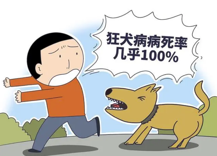 狂犬病潜伏期长达十几年?别信