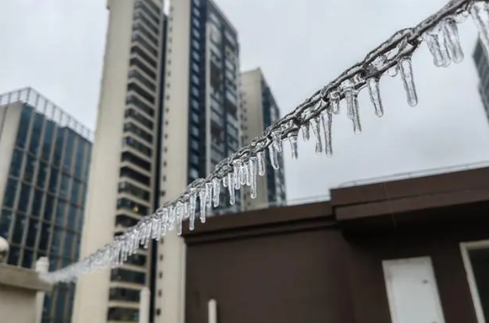 南方多地冻雨 树叶车辆“穿冰甲”