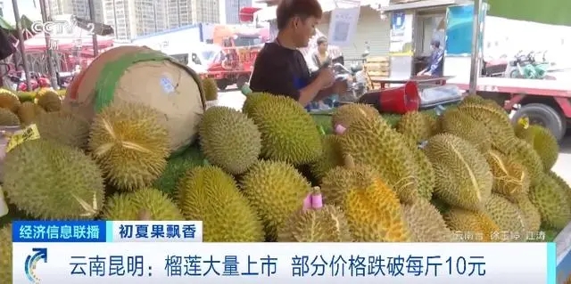 昆明榴莲一斤跌破10元
