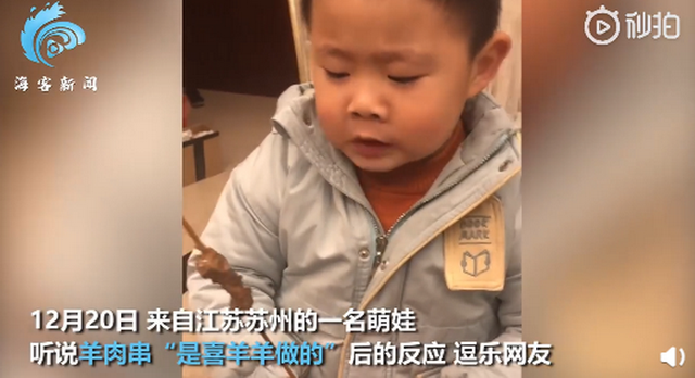 萌娃被骗羊肉串是用喜羊羊做的，眉头一皱直