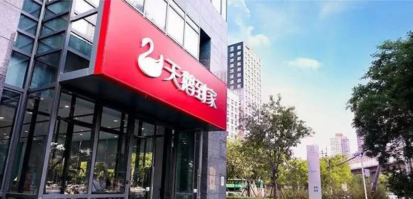 天鹅招股书详解:大扫除、月嫂、家政阿姨赚