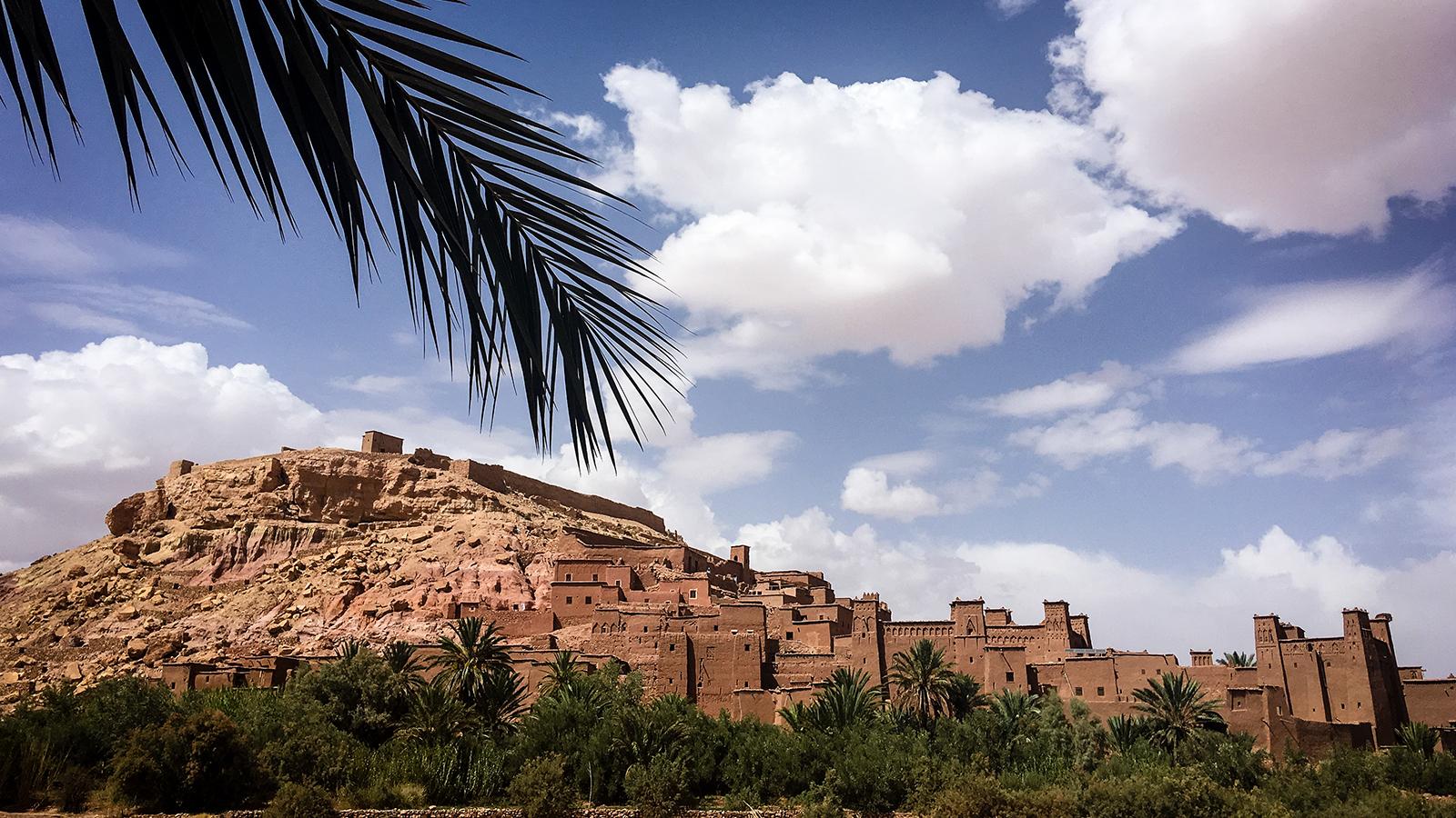 付费用户同比增长260% 亚拉能稳坐中东