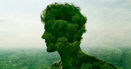 又一个100亿的基金诞生了:这条轨道又热