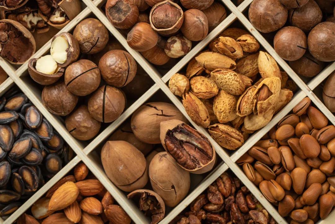 三只“千里之外”的松鼠和它们的竞争对手一