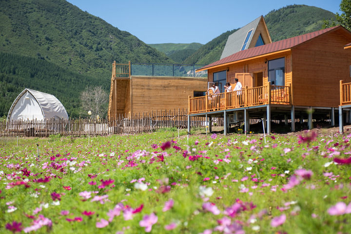 服务消费支撑作用持续显现 市场供给快速恢