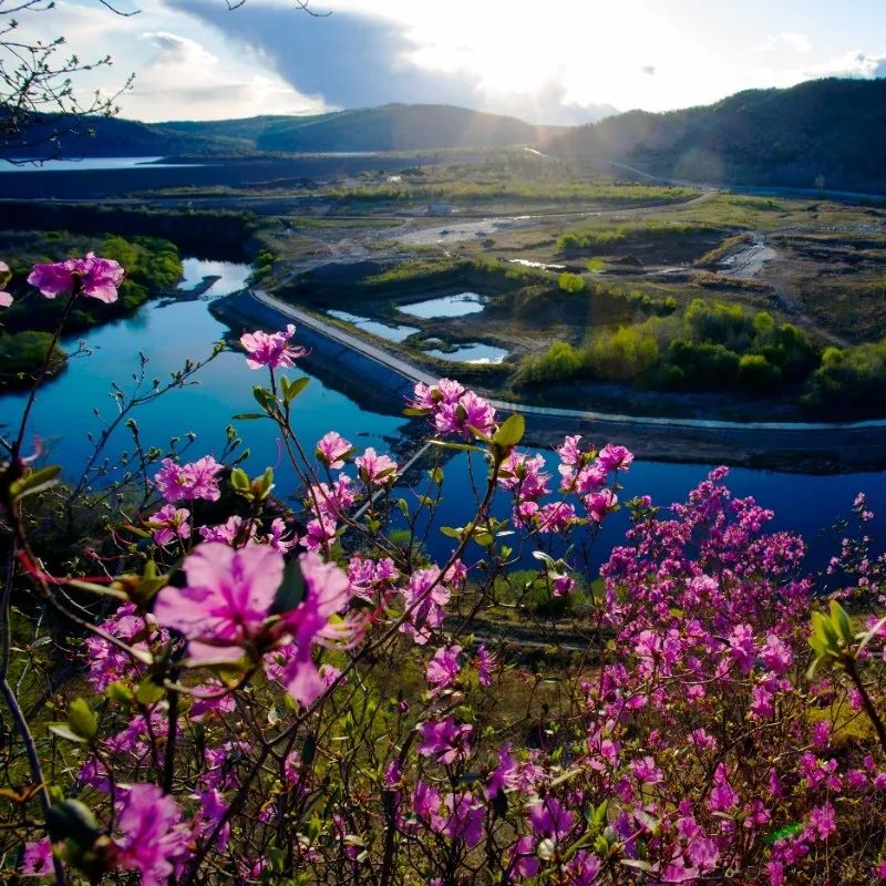 最高30万元 黑河市重奖“引客入市”激发