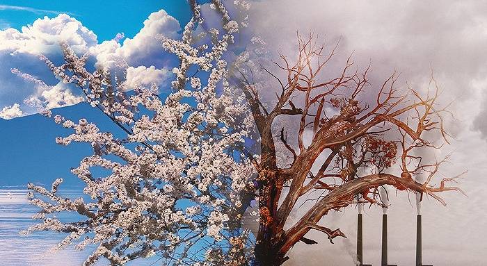 重塑“半个”自己？龙井环保投28亿定投 