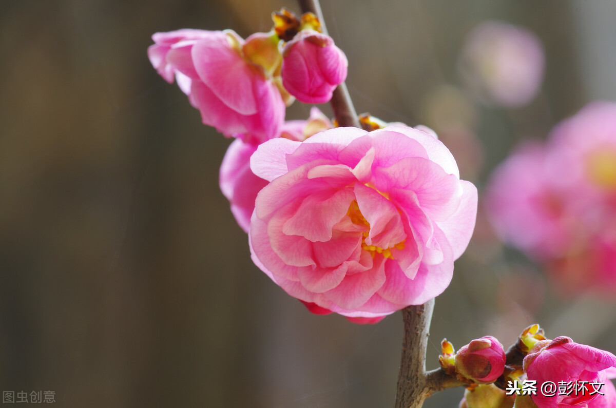 8个财税实务问题解答(2020年12月2