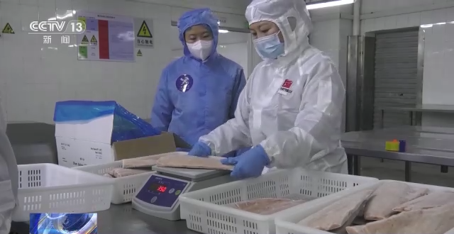 我国进出口总值再创历史新高 民营企业占比