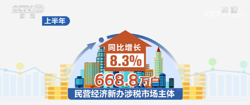 上半年全国新办涉税市场主体675.8万户