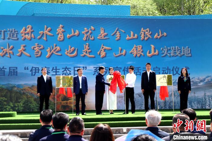 黑龙江伊春、浙江安吉:种植红松、白茶倡导