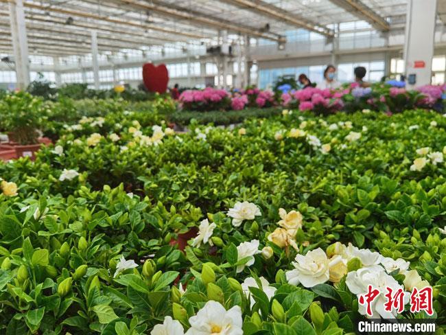 兰州新区科技创业培育“智慧花园”:荒凉的