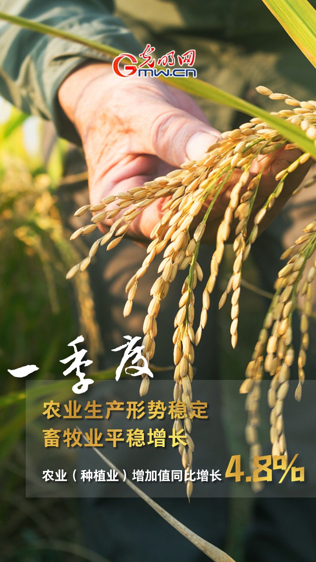 国内生产总值同比增长4.8% 一季度公布