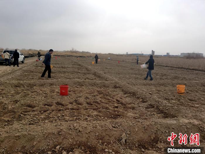 柴达木盆地格尔木测土配方让农田吃上“营养