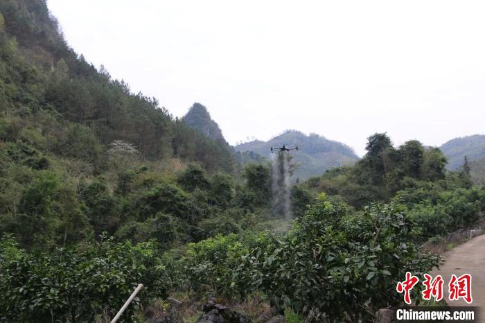 无人机施肥手机“云中种地”为贵州春耕增添