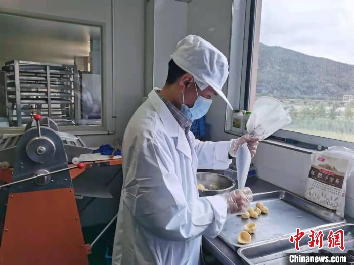 浙江青田华侨回乡创业 杨梅的深加工保留了