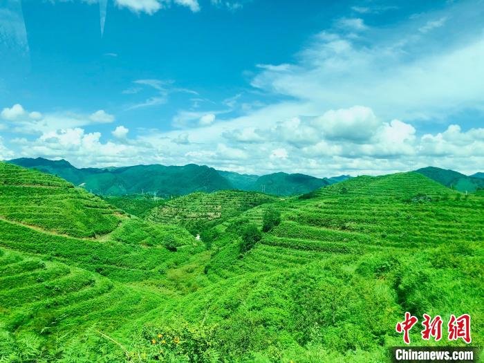 “智能化升级”将成为贵州乡村振兴的“新动