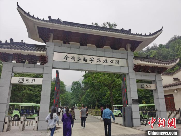 河南端午节假期“接客”超过1236万人 