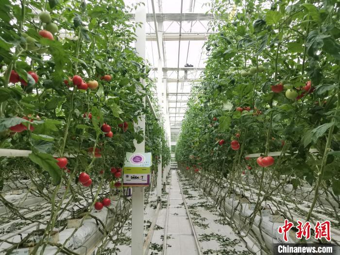 德清“两山”改造经验:数字授权青山有“价