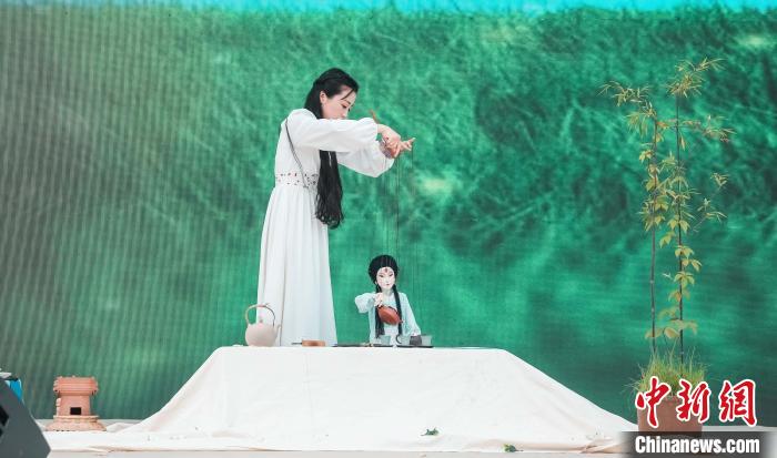 闽浙边界栀子花旅游嘉年华福建福鼎开幕 栀