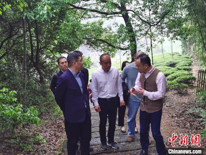 “土味”村融入艺术氛围 浙江传统村落奔向