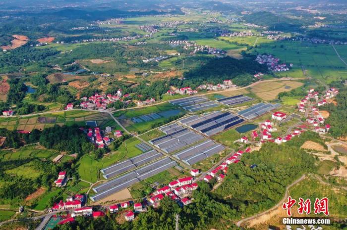 农业和农村事务部:加强制度建设 完善农村